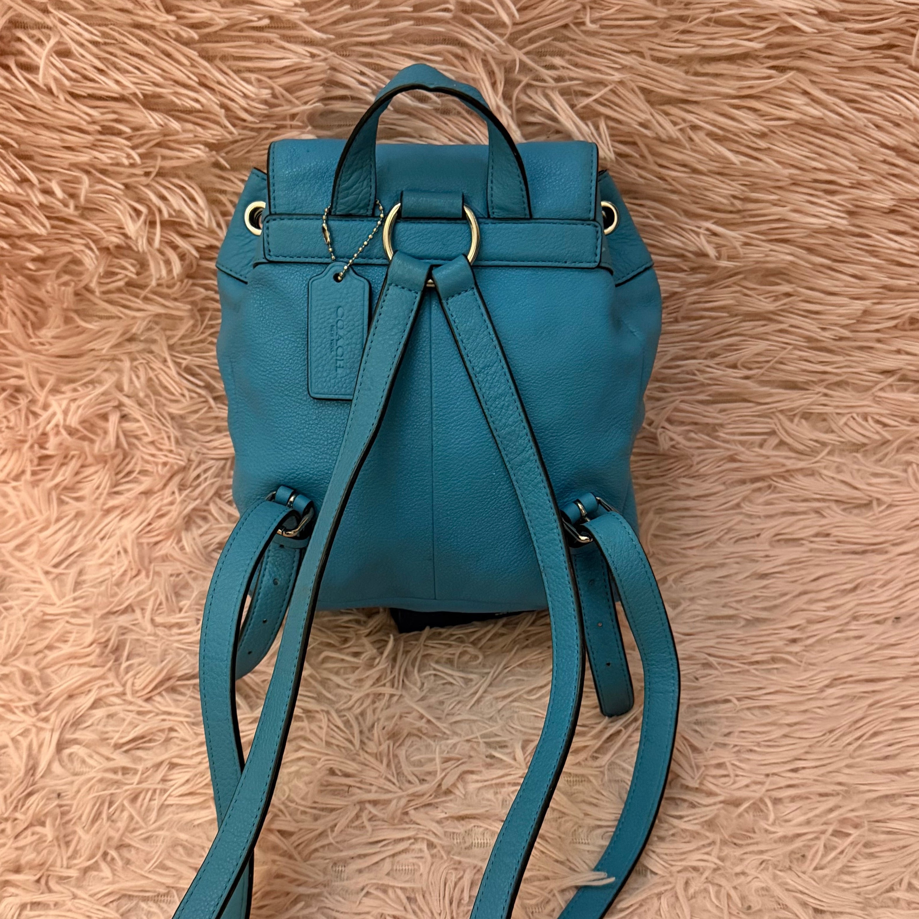 Mochila pequeña Coach