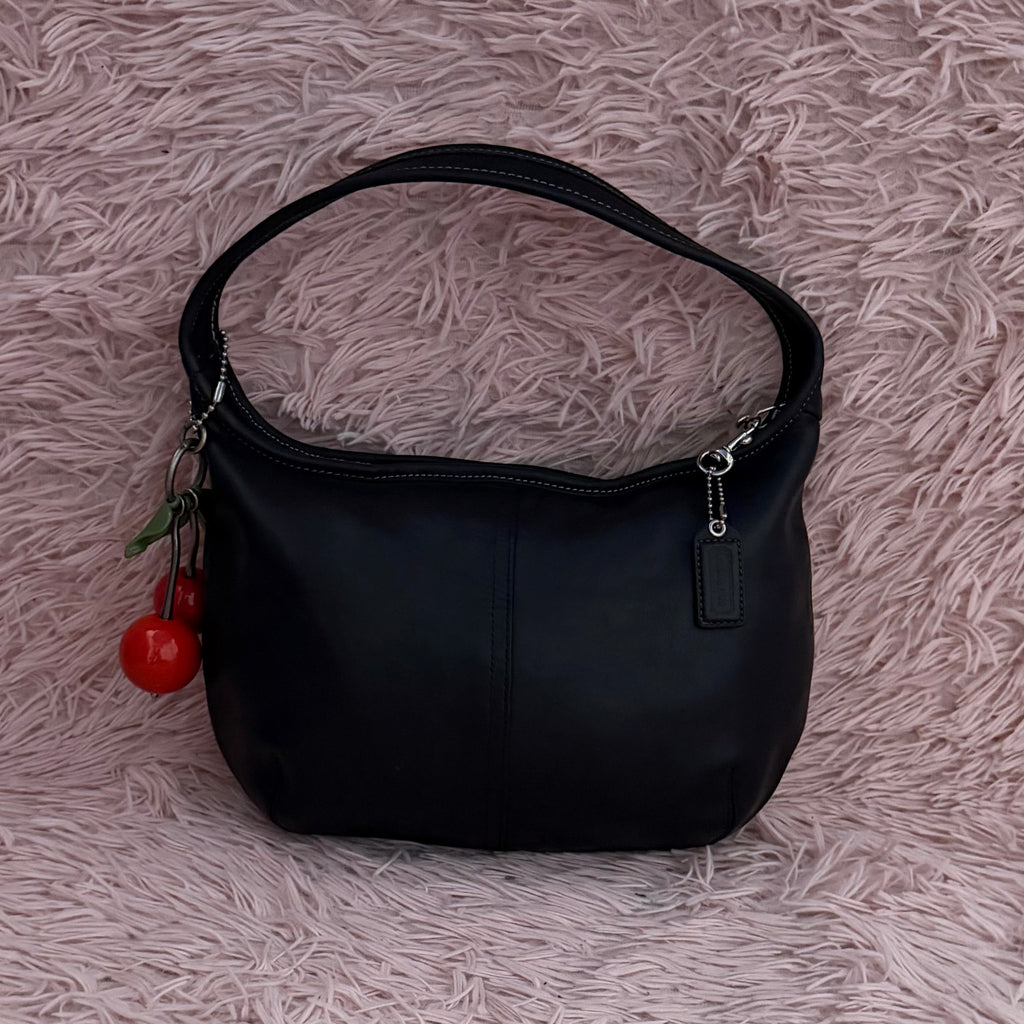 Bolsa Coach