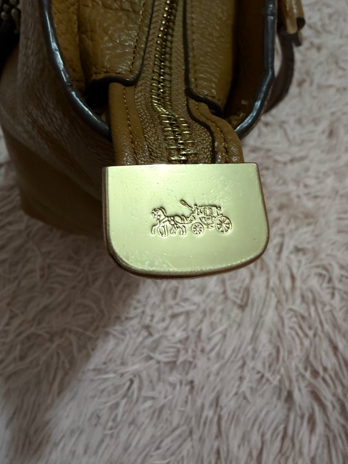 Bolsa Coach